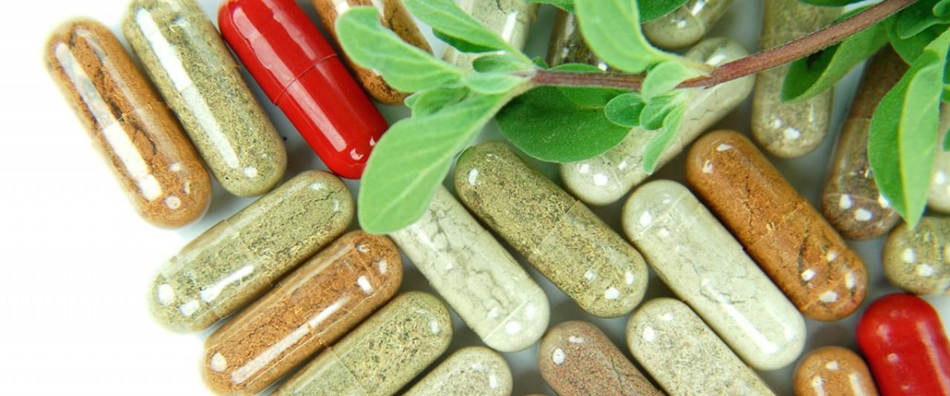 Herbal Supplements: 6 Things to Know Before Combining with Medications